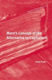 Marx's Concept of the Alternative to Capitalism