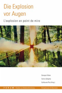 Cover Die Explosion vor Augen