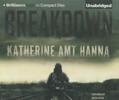 Breakdown: A Love Story - Amt Hanna, Katherine