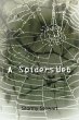 A Spiders Web - Bild 1