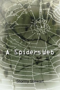 A Spiders Web - Stewart, Stormy