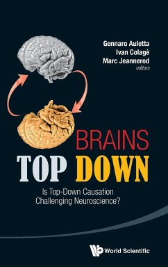 BRAINS TOP DOWN - Gennaro Auletta, Ivan Colage Et Al