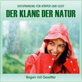 Der Klang der Natur - Regen mit Gewitter (ohne Musik)