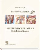 Medizinischer Atlas, Endokrines System