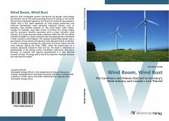 Wind Boom, Wind Bust - Brady, Jonathan