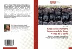 Paléoenvironnements holocènes de la Basse Vallée de la Seine
