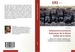 Paléoenvironnements holocènes de la Basse Vallée de la Seine - Sebag, David