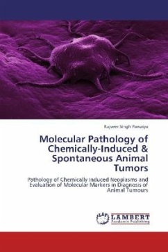 Molecular Pathology of Chemically-Induced & Spontaneous Animal Tumors - Pawaiya, Rajveer Singh