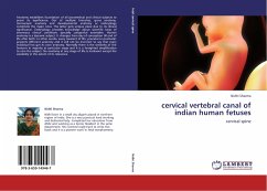 cervical vertebral canal of indian human fetuses