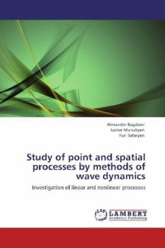 Study of point and spatial processes by methods of wave dynamics - Bagdoev, Alexander;Manukyan, Gohar;Safaryan, Yuri