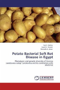 Potato Bacterial Soft Rot Disease in Egypt - Behiry, Said I.;Shama, Saad M.;Amer, Mostafa A.