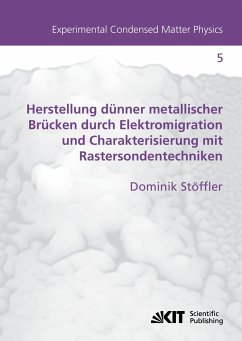 Herstellung dünner metallischer Brücken durch Elektromigration und Charakterisierung mit Rastersondentechniken - Stöffler, Dominik