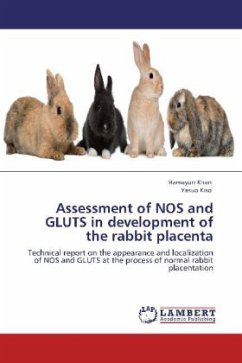 Assessment of NOS and GLUTS in development of the rabbit placenta - Khan, Hamayun;Kiso, Yasuo
