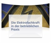 Die Elektrofachkraft in der betrieblichen Praxis, 3 Ordner m. CD-ROM, zur Fortsetzung Die Elektrofachkraft in der betrieblichen Praxis, 3 Ordner m. CD-ROM, zur Fortsetzung