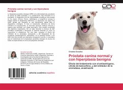 Próstata canina normal y con hiperplasia benigna