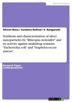 Synthesis and characterization of silver nanoparticles by "Rhizopus stolonifer" and its activity against multidrug resistant "Escherichia coli" and "Staphylococcus aureus"