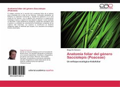 Anatomía foliar del género Sacciolepis (Poaceae) - De Gennaro, Diego