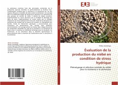 Évaluation de la production du niébé en condition de stress hydrique - Sawadogo, Alidou