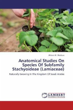 Anatomical Studies On Species Of Subfamily Stachyoideae (Lamiaceae) - Al- Watban, Ahlam