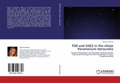TOR and GSK3 in the ciliate Paramecium tetraurelia