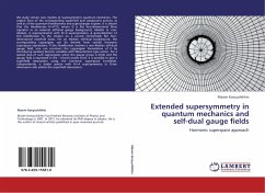 Extended supersymmetry in quantum mechanics and self-dual gauge fields