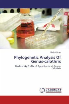 Phylogenetic Analysis Of Genus-calothrix - Singh, Shalini