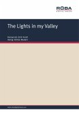 The Lights in my Valley (eBook, ePUB)