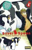 Silver spoon 1