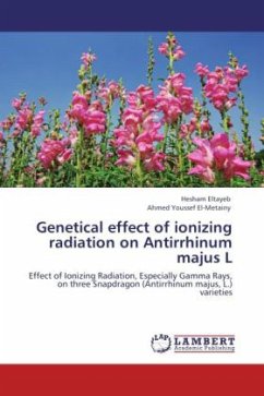 Genetical effect of ionizing radiation on Antirrhinum majus L