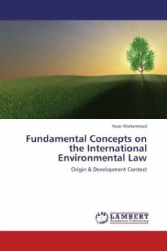 Fundamental Concepts on the International Environmental Law