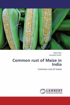 Common rust of Maize in India