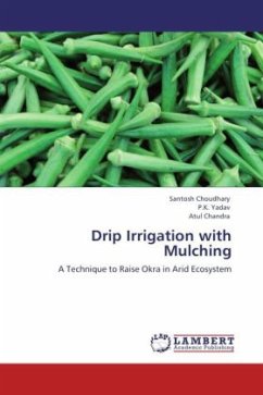Drip Irrigation with Mulching