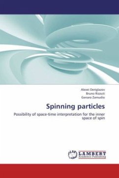 Spinning particles