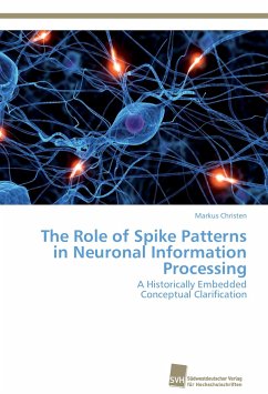 The Role of Spike Patterns in Neuronal Information Processing - Christen, Markus