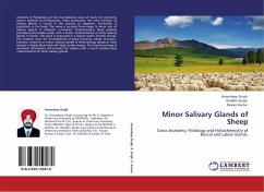 Minor Salivary Glands of Sheep