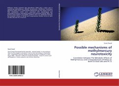 Possible mechanisms of methylmercury neurotoxicity