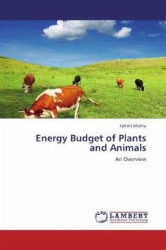 Energy Budget of Plants and Animals