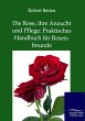 Die Rose, ihre Anzucht und Pflege:... - Bild 1