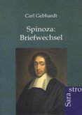 Spinoza: Briefwechsel