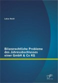 Bilanzrechtliche Probleme des Jahresabschlusses einer GmbH & Co KG