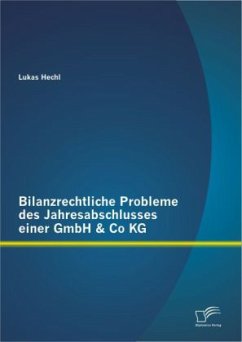 Bilanzrechtliche Probleme des Jahresabschlusses einer GmbH & Co KG - Hechl, Lukas