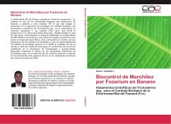 Biocontrol de Marchitez por Fusarium en Banano