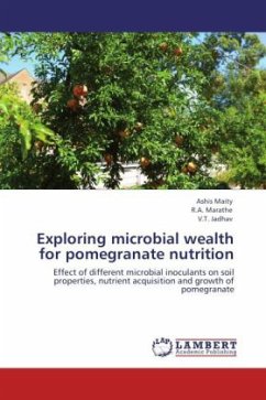 Exploring microbial wealth for pomegranate nutrition - Maity, Ashis;Marathe, R. A.;Jadhav, V. T.