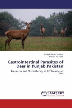 Gastrointestinal Parasites of Deer in Punjab,Pakistan - Aslam Sandhu, Ruheeb;Ali Khan, Jawaria