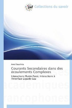 Courants Secondaires dans des écoulements Complexes