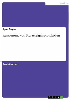 Auswertung von Sturzereignisprotokollen - Geyer, Igor