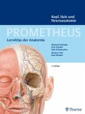 Kopf, Hals und Neuroanatomie / Prometheus