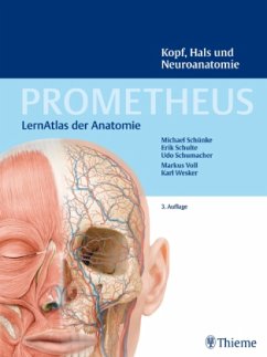Kopf, Hals und Neuroanatomie / Prometheus - Schünke, Michael;Schulte, Erik;Schumacher, Udo