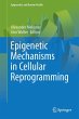 Epigenetic Mechanisms in Cellular... - Bild 1