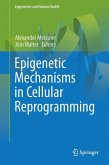 Epigenetic Mechanisms in Cellular Reprogramming